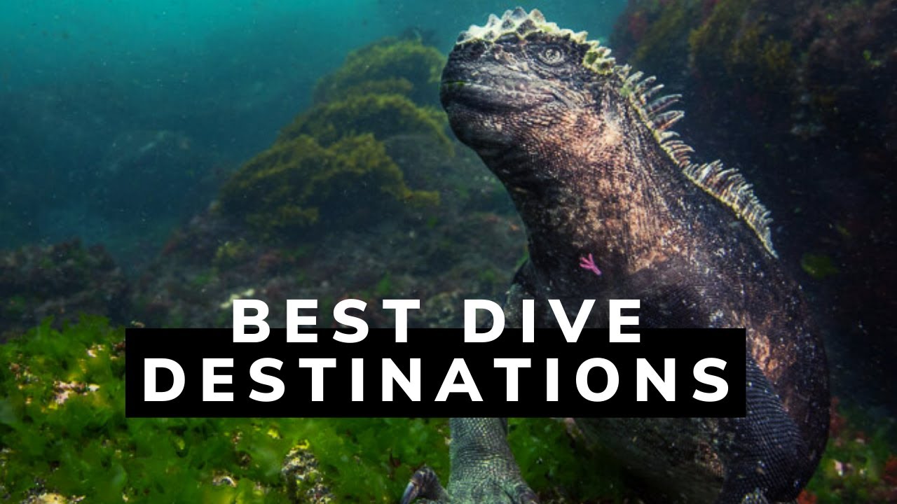You are currently viewing Top 5 Best Dive Destinations in the World