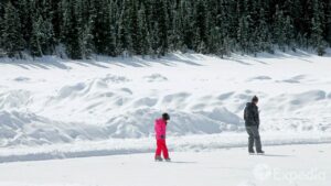 Read more about the article Lake Louise Vacation Travel Guide | Expedia