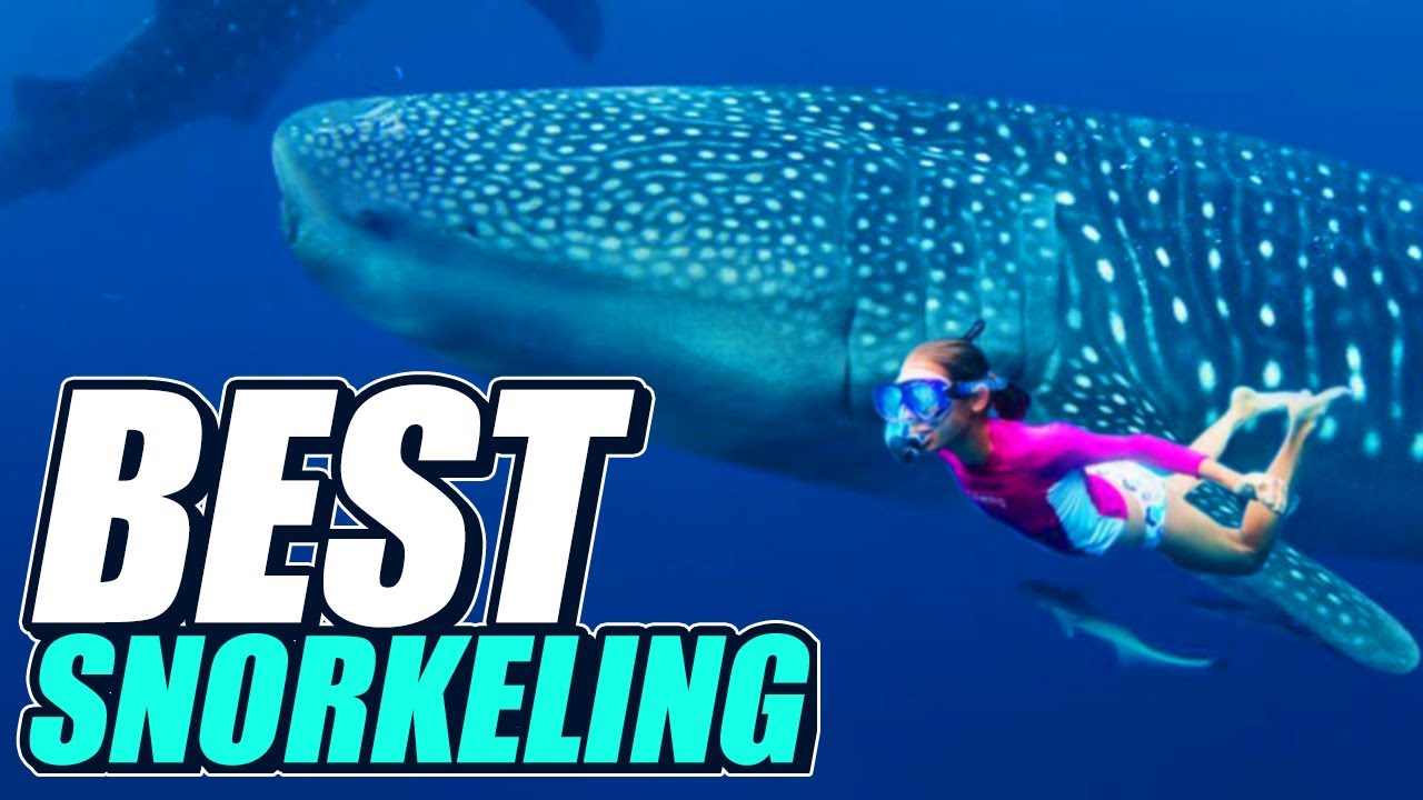 Read more about the article 10 BEST SNORKELING DESTINATIONS in the World