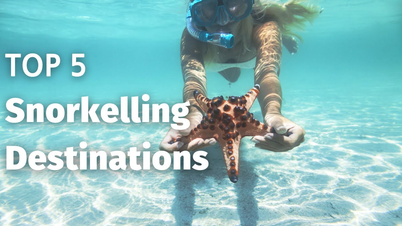 Read more about the article Top 5 Snorkeling Destinations in the World – Travel Video